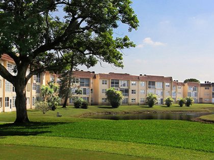 A tree in the foreground with Sunrise Lakes buildings in the background. Also seen is a small pond and grass throughout.